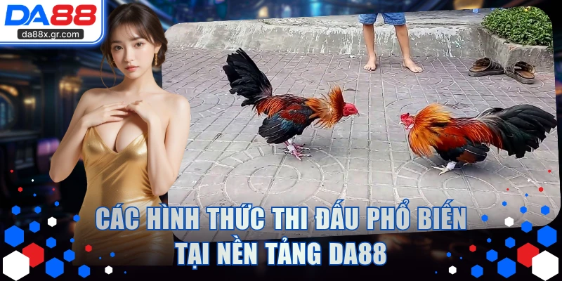 Các hình thức thi đấu phổ biến tại nền tảng DA88
