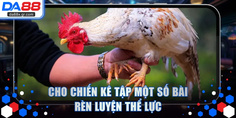 Cho chiến kê tập một số bài rèn luyện thể lực