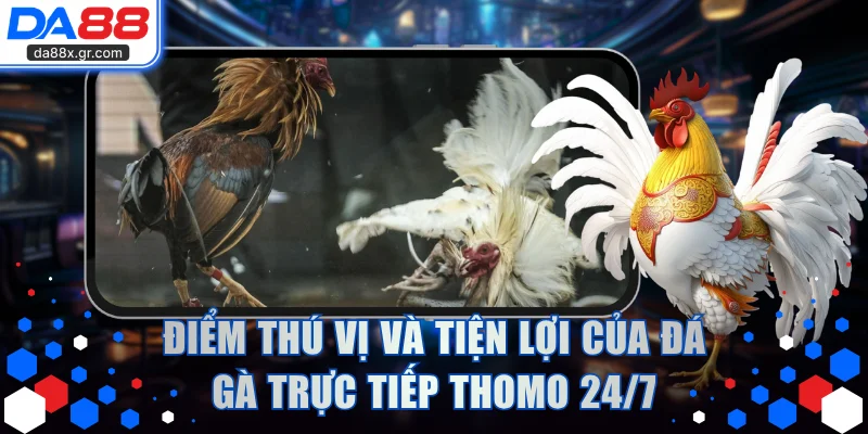 Điểm thú vị và tiện lợi của đá gà trực tiếp Thomo 24/7