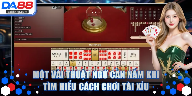 Một vài thuật ngữ cần nắm khi tìm hiểu cách chơi Tài Xỉu
