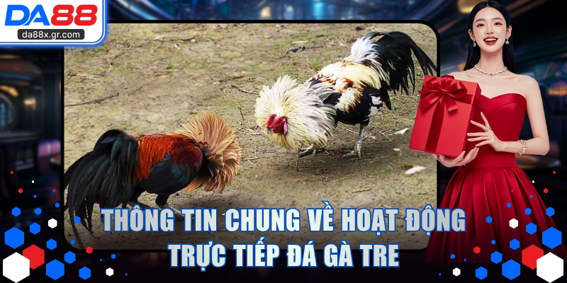 Thông tin chung về hoạt động trực tiếp đá gà tre